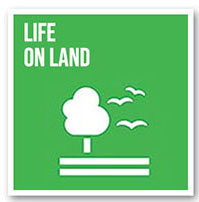 Life on Land