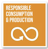 Responsible Consumption and Production