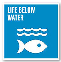 Life Below Water